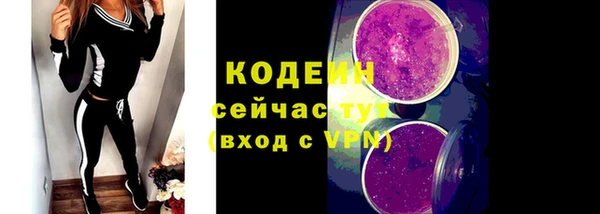 гашик Бородино