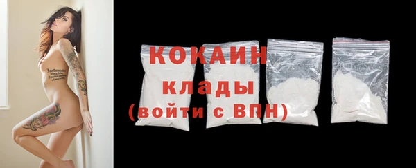 гашик Бородино