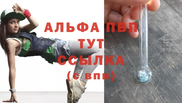 гашик Бородино