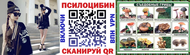 Купить где  Венёв  Псилоцибиновые грибы ЛСД 
